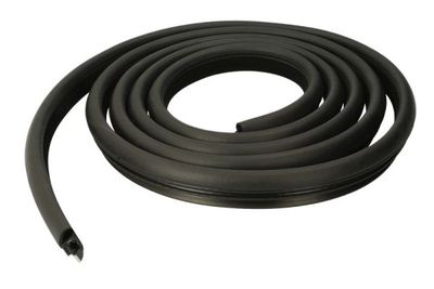 Door Seal BLIC 5703-04-0095501P