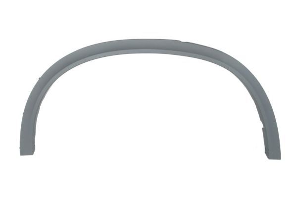 BLIC 5703-04-0096598PP Trim/Protection Strip, wing