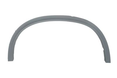 Trim/Protection Strip, wing BLIC 5703-04-0096598PP
