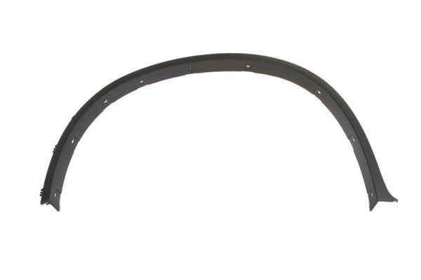 BLIC 5703-04-0099421P Trim/Protection Strip, wing
