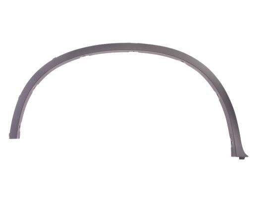 BLIC 5703-04-0099596P Trim/Protection Strip, wing