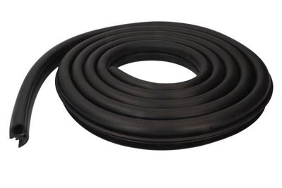 Door Seal BLIC 5703-04-0519501P
