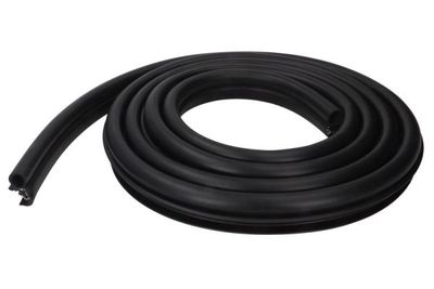 Door Seal BLIC 5703-04-1305503P