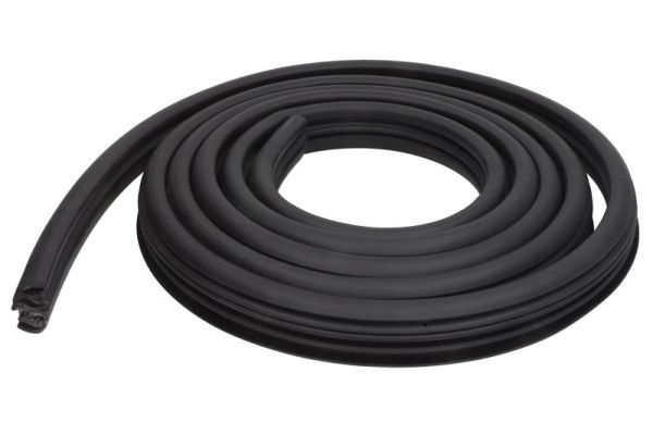 BLIC 5703-04-1310503P Door Seal