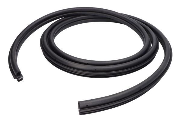 BLIC 5703-04-2008501P Door Seal