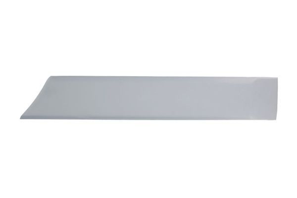 BLIC 5703-04-2008577P Trim/Protection Strip, wing
