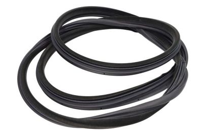 Door Seal BLIC 5703-04-2027501P