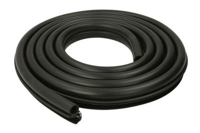 Door Seal BLIC 5703-04-2029503P