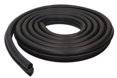 Door Seal BLIC 5703-04-2030501P