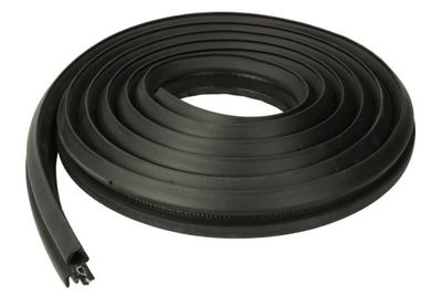 Door Seal BLIC 5703-04-2030507SP
