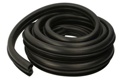 Door Seal BLIC 5703-04-2037501P