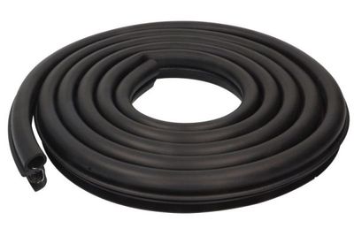 Door Seal BLIC 5703-04-2042501P