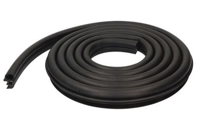 Door Seal BLIC 5703-04-2043501P