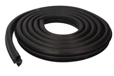 Door Seal BLIC 5703-04-2053501P