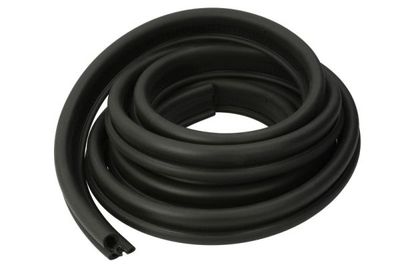 Door Seal BLIC 5703-04-2053507P