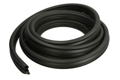 Door Seal BLIC 5703-04-2092507P