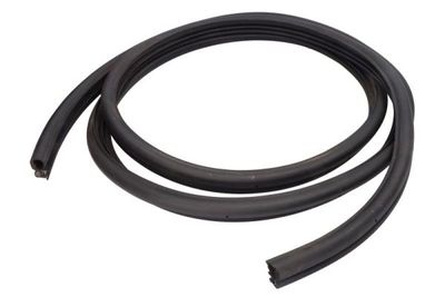 Door Seal BLIC 5703-04-2092515GP