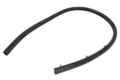 Door Seal BLIC 5703-04-2092515P