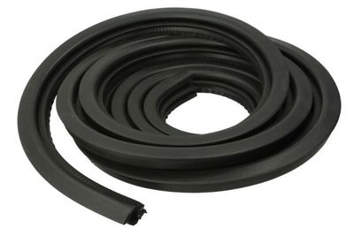 Door Seal BLIC 5703-04-2097507P