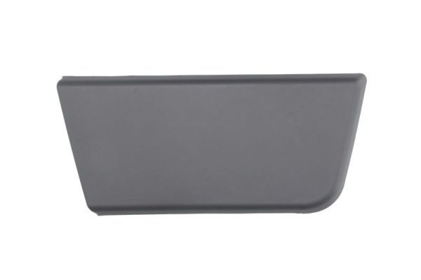 BLIC 5703-04-2097572P Trim/Protection Strip, wing