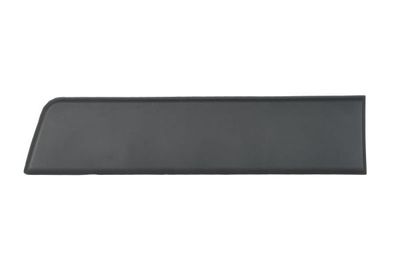 Trim/Protection Strip, wing BLIC 5703-04-2097579P