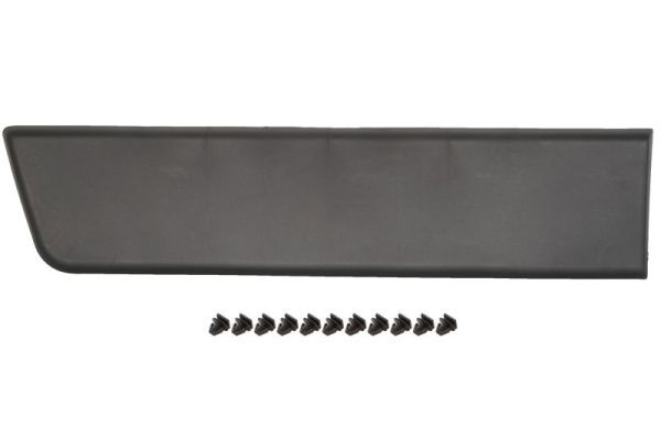 BLIC 5703-04-2097580P Trim/Protection Strip, wing