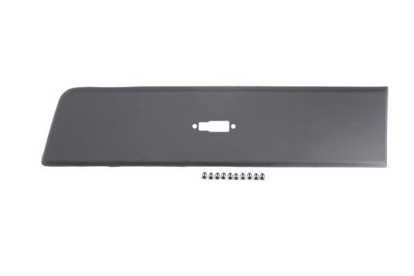 BLIC 5703-04-2097581P Trim/Protection Strip, wing