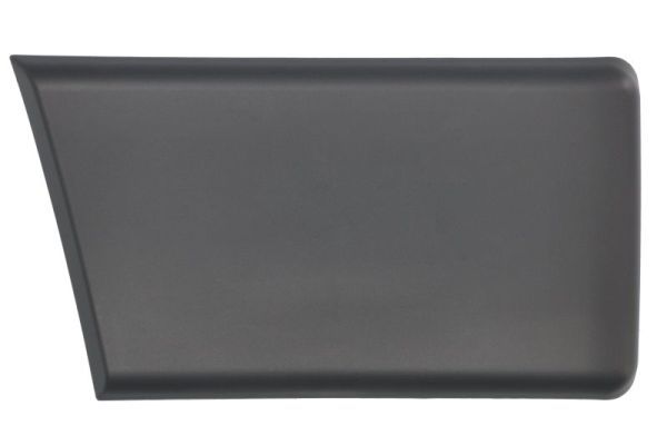 BLIC 5703-04-2097588P Trim/Protection Strip, quarter panel