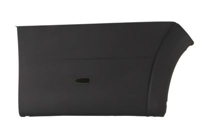 Trim/Protection Strip, wing BLIC 5703-04-2098476P