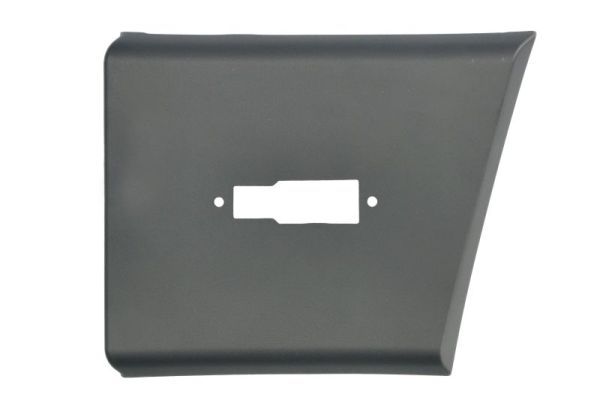 BLIC 5703-04-2098477P Trim/Protection Strip, wing
