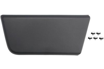 Trim/Protection Strip, door BLIC 5703-04-2098571P