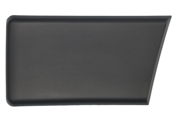 BLIC 5703-04-2098575P Trim/Protection Strip, quarter panel