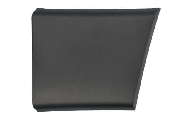 BLIC 5703-04-2098577P Trim/Protection Strip, quarter panel