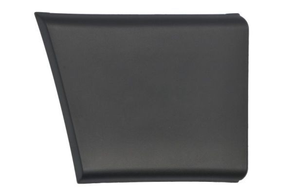 BLIC 5703-04-2098578P Trim/Protection Strip, quarter panel