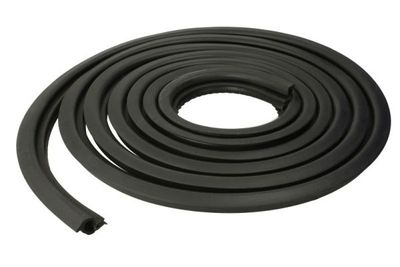 Door Seal BLIC 5703-04-2507507P