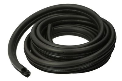 Door Seal BLIC 5703-04-2512501P