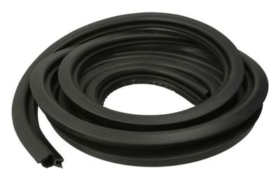Door Seal BLIC 5703-04-2512507P