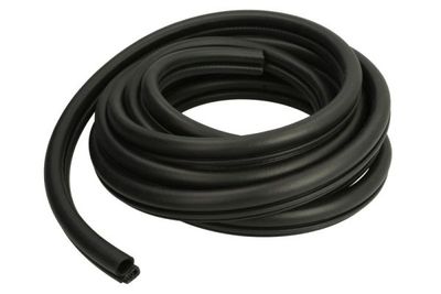Door Seal BLIC 5703-04-2515506P