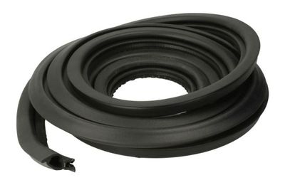 Door Seal BLIC 5703-04-2518507P