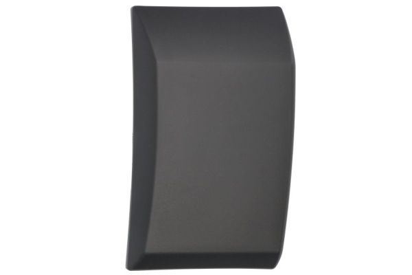 BLIC 5703-04-2518571P Trim/Protection Strip, quarter panel