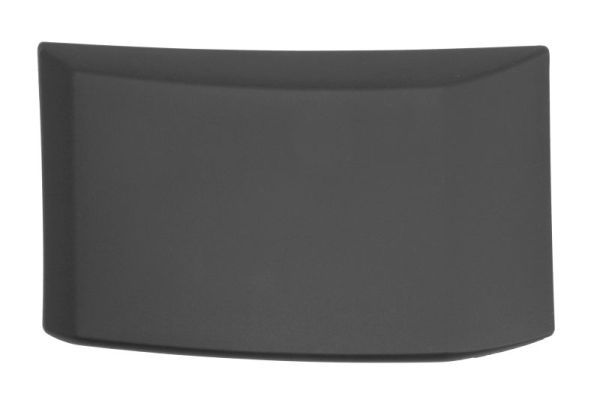 BLIC 5703-04-2518573P Trim/Protection Strip, quarter panel