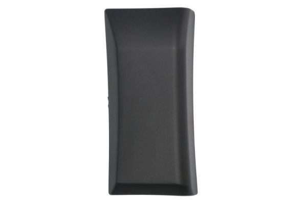 BLIC 5703-04-2518581P Trim/Protection Strip, quarter panel