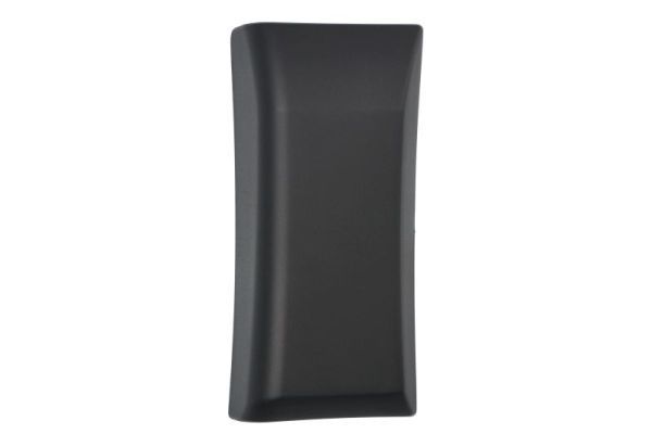 BLIC 5703-04-2518582P Trim/Protection Strip, quarter panel