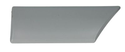 Trim/Protection Strip, wing BLIC 5703-04-2530476P