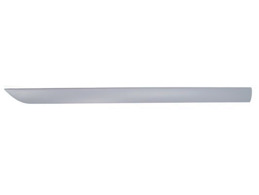 BLIC 5703-04-2532575P Trim/Protection Strip, wing