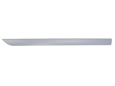 Trim/Protection Strip, wing BLIC 5703-04-2532575P