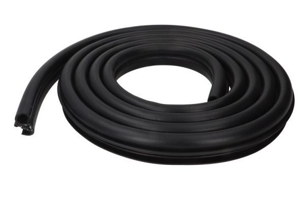 BLIC 5703-04-2555503P Door Seal