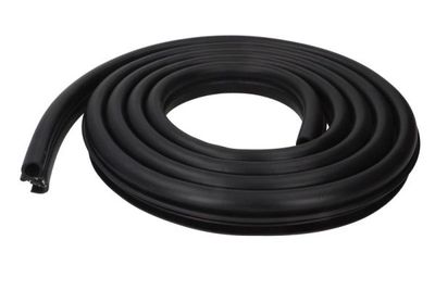 Door Seal BLIC 5703-04-2555503P