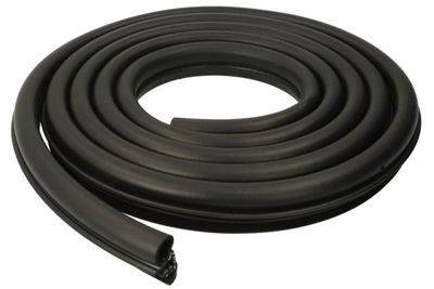 Door Seal BLIC 5703-04-2556501P