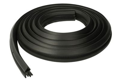 Door Seal BLIC 5703-04-2564507P